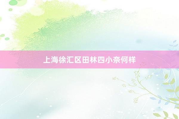 上海徐汇区田林四小奈何样